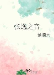 弦逸之音