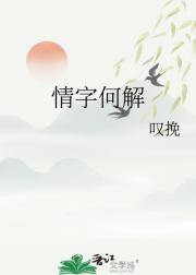 情字何解