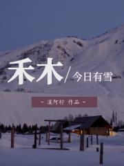 禾木今日有雪