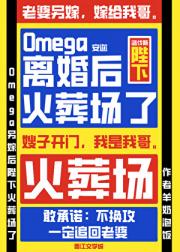 O另嫁后陛下火葬场了