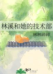 林溪和她的技术部