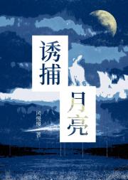 诱捕月亮