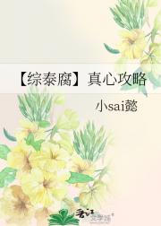 【综泰腐】真心攻略