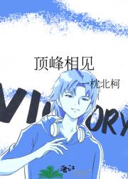 顶峰相见