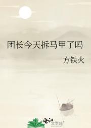 团长今天拆马甲了吗