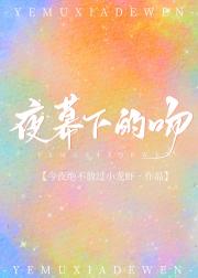夜幕下的吻[追妻]