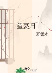 望妻归