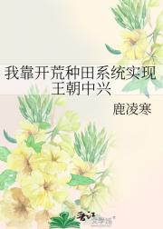 我靠开荒种田系统实现王朝中兴