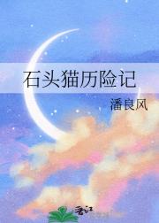 石头猫历险记