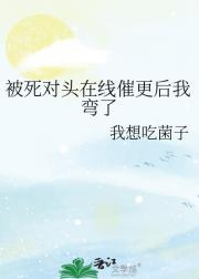 被死对头在线催更后我弯了