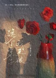 这个案子我来破
