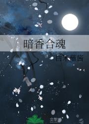 暗香合魂