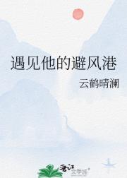 遇见他的避风港