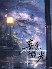 妄念微光
