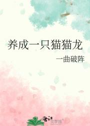 养成一只猫猫龙