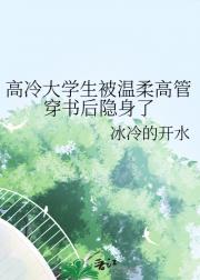 高冷大学生被温柔高管穿书后隐身了