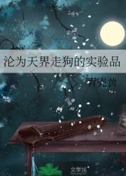天界走狗是只猫