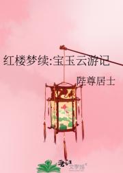 红楼梦续:宝玉云游记