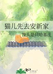 猫儿先去安新家