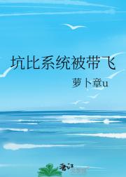 坑比系统被带飞