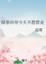 绿茶向导今天不想营业