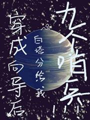 成为向导后白塔分给我九个哨兵