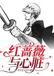 红蔷薇与心脏〈海贼王〉