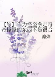 【综】作为怪盗拿走奇奇怪怪的东西不是很合