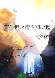 万生镜之情不知所起