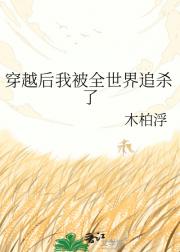 穿越后我被全世界追杀了