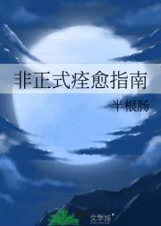 非正式痊愈指南