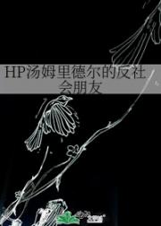 HP汤姆里德尔的反社会朋友