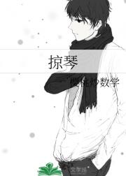 掠琴