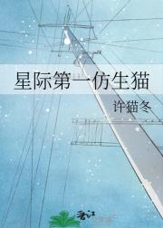 星际第一仿生猫