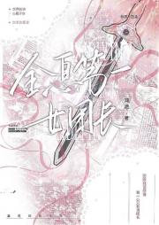 全息第一女团长