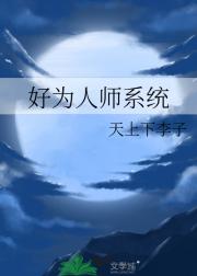 好为人师系统