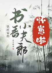 铁匠家的书香小夫郎