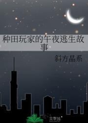 种田玩家的午夜逃生故事