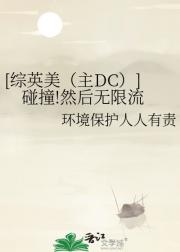 [综英美（主DC）]碰撞!然后无限流