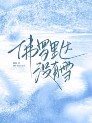 佛罗里达没有雪