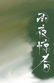 雨夜惊春