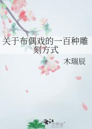 关于布偶戏的一百种雕刻方式