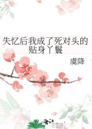 失忆后我成了死对头的贴身丫鬟