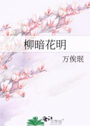 柳暗花明