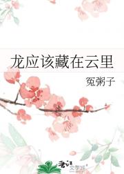 龙应该藏在云里