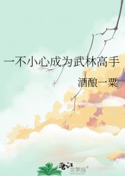 一不小心成为武林高手