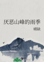 厌恶山峰的雨季