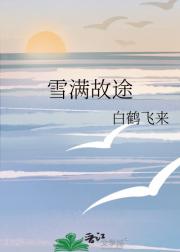 雪满故途