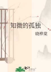 知微的孤独