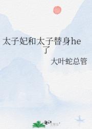 太子妃和太子替身he了
